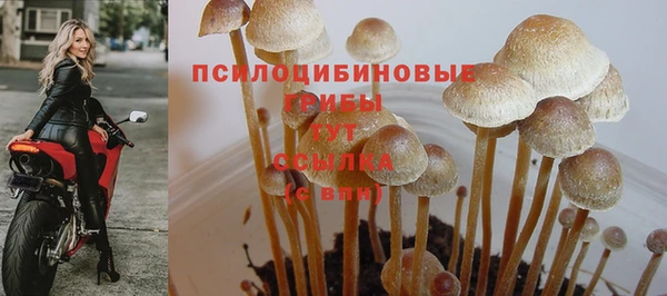 МДМА Белокуриха